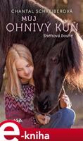 Můj ohnivý kůň – Sněhová bouře - Chantal Schreiberová