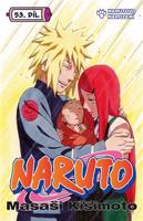 Naruto 53: Narutovo narození - Masaši Kišimoto