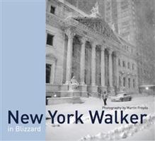 New York Walker. in Blizzard - Martin Froyda