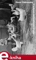 O jednom zachraňování života - David Zábranský