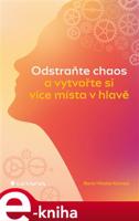 Odstraňte chaos a vytvořte si více místa v hlavě - Boris Nikolai Konrad