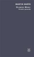 Olympos Mons - Martin Mařík