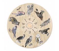 Otočné kolo - Přiřaď dravce a sovy