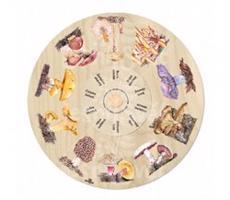 Otočné kolo přiřaď jedlé houby