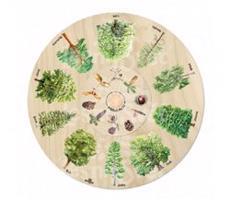 Otočné kolo - Přiřaď plod!