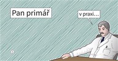Pan Primář v praxi
