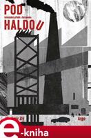 Pod haldou - Vladimír Zlý