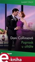 Poprask u oltáře - Dani Collinsová