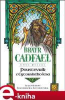 Poustevník z Eytonského lesa - Ellis Petersová