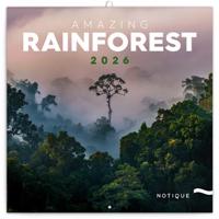 Poznámkový kalendář Deštné pralesy 2026