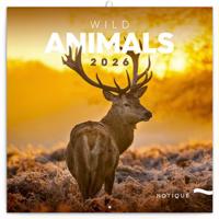 Poznámkový kalendář Divoká zvířata 2026