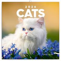 Poznámkový kalendář Kočky 2026