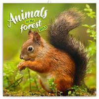 Poznámkový kalendář Zvířátka z lesa 2023