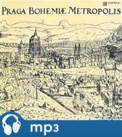 Praho, na shledanou - Jaromír Čermák