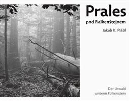 Prales pod Falkenštejnem / Der Urwald unterm Falkenstein - Jakub Kopecký Plášil