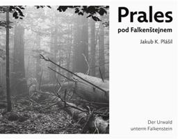 Prales pod Falkenštejnem / Der Urwald unterm Falkenstein