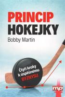 Princip hokejky