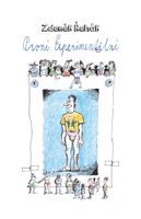 První experimentální