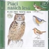 Ptáci našich lesů