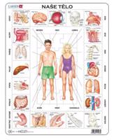 Puzzle - Naše tělo 35 dílků