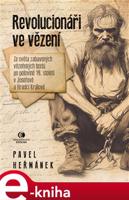 Revolucionáři ve vězení - Pavel Heřmánek