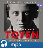 Sedláčková: Toyen - Andrea Sedláčková