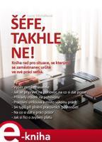 Šéfe, takhle ne! - Lucie Michálková