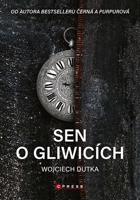 Sen o Gliwicích