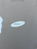 Setkání se Zrzavým