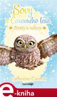 Sovy z Čarovného lesa - Ztráty a nálezy - Catherine Coeová