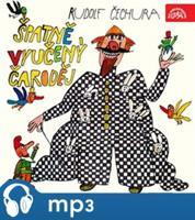 Špatně vyučený čaroděj - Rudolf Čechura