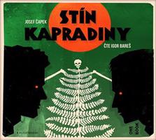 Stín kapradiny