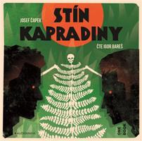 Stín kapradiny