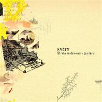 Střela zastavená v jantaru