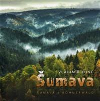 Šumava - Vladimír Kunc