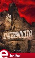 Synchronicita - Aleš Pitzmos