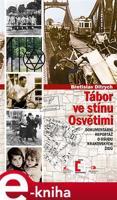 Tábor ve stínu Osvětimi - Břetislav Ditrych