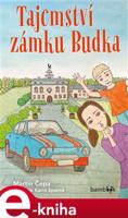 Tajemství zámku Budka - Martin Čepa