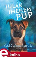Tulák jménem Pup - Gill Lewisová