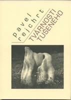 Tvárnosti tušeného - Pavel Rejchrt