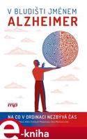 V bludišti jménem Alzheimer - Adéla Fendrych Mazancová, Kateřina Čechová, Hana Marková, kolektiv autorů