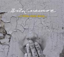 V tichu mezi slovy