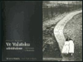 Ve Valašsku zůstáváme - Čeští krajané v Rumunsku. We Live in Wallachia / Czech People in Romania - Pavel Hroch