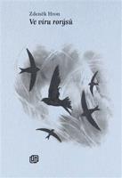 Ve víru rorýsů - Zdeněk Hron