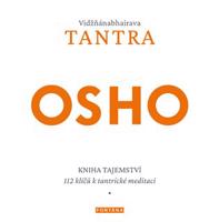 Vidžňánabhairava Tantra