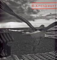 Viktor Kronbauer - Divadelní fotografie / Theatre Photography