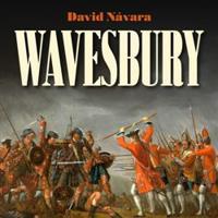Wavesbury - Návara David