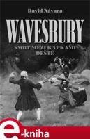 Wavesbury – Smrt mezi kapkami deště - David Návara