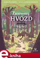 Začarovaný Hvozd - Příběh dětí z Končiny - Klára Smolíková