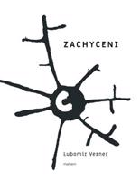 Zachyceni - Lubomír Verner